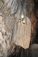 Las cuevas de Artá en Mallorca - Sala de Banderas. Haga clic para ampliar la imagen en Adobe Stock (nueva pestaña).