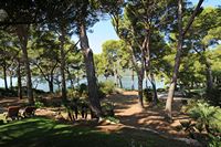 Die Hotels Formentor auf Mallorca - Der Rasen der Villa Ran de Mar. Klicken, um das Bild in Adobe Stock zu vergrößern (neue Nagelritze).