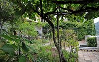 Die Kartause von Valldemossa - Garten Mönche Zelle Nr. 2. Klicken, um das Bild zu vergrößern.