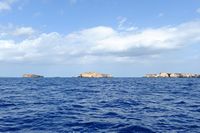 La faune de l'île de Cabrera à Majorque. Les îles du nord de l'archipel de Cabrera. Cliquer pour agrandir l'image.
