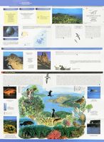 The National Park of Cabrera in Mallorca - visit the National Park Guide. Click to enlarge the image.