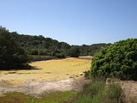 O Parque natural de Mondragó em Maiorca - Estany de Ses Fonts de n'Alis (autor Chixoy). Clicar para ampliar a imagem.