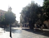 Il sud-ovest della città vecchia di Palma di Maiorca - Plaça Cort. Clicca per ingrandire l'immagine.