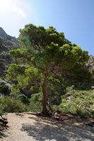 El pueblo de Sa Calobra Mallorca - Playa Torrent de Pareis. Haga clic para ampliar la imagen.
