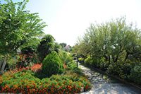 The hotel Formentor in Mallorca - The ornamental gardens. Click to enlarge the image.