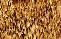 Die Drachenhöhlen in Mallorca - Drachenhöhlen. Klicken, um das Bild zu vergrößern.