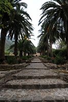 Jardines de Alfàbia Mallorca - Escaleras de los jardines de Alfàbia. Haga clic para ampliar la imagen.