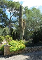 Finca Els Calderers van Sant Joan in Majorca - de goedkeuringstuinen van het kasteeltje. Klikken om het beeld te vergroten.