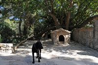 A finca Els Calderers de Sant Joan em Maiorca - O nicho dos cães de pastor. Clicar para ampliar a imagem.