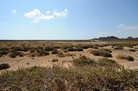 L'île de Los Lobos à Fuerteventura. Las Tres Hermanas. Cliquer pour agrandir l'image dans Adobe Stock (nouvel onglet).
