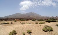 The Teide National Park in Tenerife. The Pico del Teide seen from Boca Tauce. Click to enlarge the image in Adobe Stock (new tab).