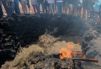 Timanfaya Nationalpark in Lanzarote. Spontaneous Combustion Sträucher. Klicken, um das Bild in Adobe Stock zu vergrößern (neue Nagelritze).