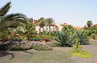 A aldeia de Caleta de Fuste em Fuerteventura. O jardim do hotel Elba Carlota. Clicar para ampliar a imagem em Adobe Stock (novo guia).
