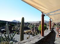 De verzameling van wolfsmerk van de Cactustuin in Guatiza in Lanzarote. Het terras van de cafetaria. Klikken om het beeld te vergroten in Adobe Stock (nieuwe tab).