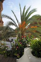 Il villaggio di Nazaret a Lanzarote. Balcone della casa di Omar Sharif. Clicca per ingrandire l'immagine in Adobe Stock (nuova unghia).