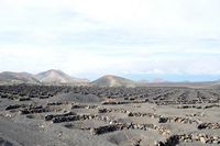 The village of Uga in Lanzarote. Uga to the vineyard. Click to enlarge the image in Adobe Stock (new tab).