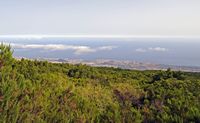 El parque natural de la Corona Forestal en Tenerife. Vista de Puerto La Cruz y La Orotava desde el punto de vista de la Rosa de Piedra. Haga clic para ampliar la imagen.
