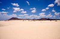 Het natuurpark van de Duinen van Corralejo in Fuerteventura. De duinen (auteur Dirk Vorderstaße). Klikken om het beeld te vergroten.