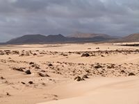 Het natuurpark van de Duinen van Corralejo in Fuerteventura. De duinen (auteur Theresa Gaige). Klikken om het beeld te vergroten.