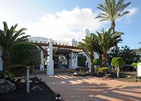 Le village de Playa Blanca à Lanzarote. Le jardin de l'hôtel Timanfaya Palace. Cliquer pour agrandir l'image.