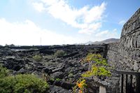 Il villaggio di Tahíche a Lanzarote. I campi di lava intorno alla casa di César Manrique. Clicca per ingrandire l'immagine.
