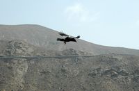 O parque rural de Betancuria em Fuerteventura. Um corvo comum (Corvus corax) Clicar para ampliar a imagem.