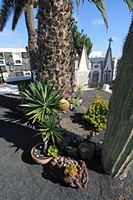 A cidade de Haría em Lanzarote. Túmulo de César Manrique no cemitério de Haría. Clicar para ampliar a imagem.