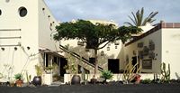 The Ethnographic Museum Tanit in San Bartolomé in Lanzarote. Flamboyant (Delonix regia). Click to enlarge the image.