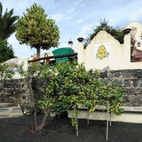The Ethnographic Museum Tanit in San Bartolomé in Lanzarote. Lemon. Click to enlarge the image.