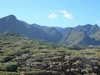 De stad Los Silos in Tenerife. Uitzicht op de bergen. Klikken om het beeld te vergroten.