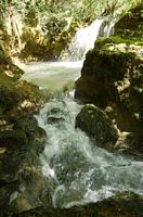 La rivière Krka en Croatie. La cascade de Miljačka sur la Krka (auteur N. P. Krka). Cliquer pour agrandir l'image.