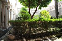 La ville close de Dubrovnik en Croatie. Quartier des Franciscains. Jardin du cloître roman. Cliquer pour agrandir l'image.