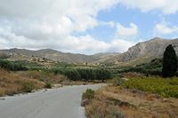 Le village de Zakros en Crète. Cultures près de Sitanos. Cliquer pour agrandir l'image dans Adobe Stock (nouvel onglet).