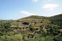 La côte nord de la commune de Sitia en Crète. Le site de la villa minoenne de Chamézi. Cliquer pour agrandir l'image dans Adobe Stock (nouvel onglet).
