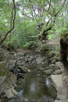 Rivière de la vallée des sept sources à Rhodes. Cliquer pour agrandir l'image.