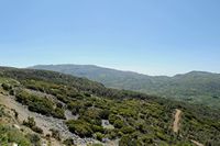 Le village d’Agia Galini en Crète. La pinède de Kissos. Cliquer pour agrandir l'image.