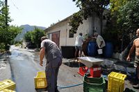 Le village de Koutsouras en Crète. Les vendanges à Orino. Cliquer pour agrandir l'image.