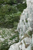 Klif van het kasteel van Kastelos in Rhodos. Klikken om het beeld te vergroten.