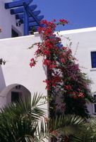 Le village de Périssa à Santorin. L'hôtel Veggera. Cliquer pour agrandir l'image.