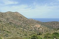 La presqu’île de l’Akrotiri en Crète. La garrigue près du monastère du Gouverneto. Cliquer pour agrandir l'image.
