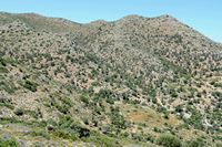 La presqu’île de l’Akrotiri en Crète. La montagne d'Arkoudovounia près du monastère du Katholiko. Cliquer pour agrandir l'image.