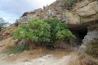Le site archéologique de Gortyne en Crète. Entrée de la petite grotte en labyrinthe à Roufas. Cliquer pour agrandir l'image.