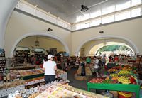 The Italian city of Cos - The municipal market covered Kos. Click to enlarge the image in Flickr (new tab).