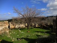 Das verlassene Dorf Agios Dimitrios auf der Insel Kos (Autor giorgos-nes-7). Klicken, um das Bild in Flickr zu vergrößern (neue Nagelritze).