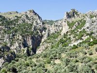 Le village de Fourfouras en Crète. Les gorges de Platania (auteur Papadaion Papadaion). Cliquer pour agrandir l'image dans Panoramio (nouvel onglet).