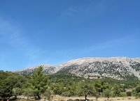 La côte sud de la commune d’Iérapétra en Crète. La forêt de Sélakano et le mont Spathi (auteur Theodoros Doulis). Cliquer pour agrandir l'image dans Panoramio (nouvel onglet).