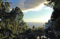 Funchal seen since the Tropical Garden of Assembles De luxe hotel. Cliquer pour agrandir l'image.