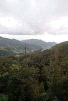 The valley of Machico seen since Quinta da Junta with Santo Da Serra. Cliquer pour agrandir l'image.