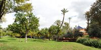 L'hôtel Tikida Garden à Marrakech au Maroc. Orangeraie. Cliquer pour agrandir l'image dans Adobe Stock (nouvel onglet).