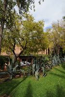 L'hôtel Tikida Garden à Marrakech au Maroc. Restaurant orangeraie. Cliquer pour agrandir l'image.